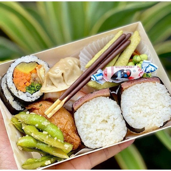 Bento Box: The Perfect Pack-and-Go Lunch Solution - VerTerra Dinnerware