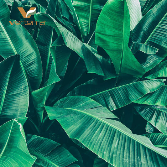 How To Choose Truly Compostable Dinnerware Without Falling for Greenwashing Claims