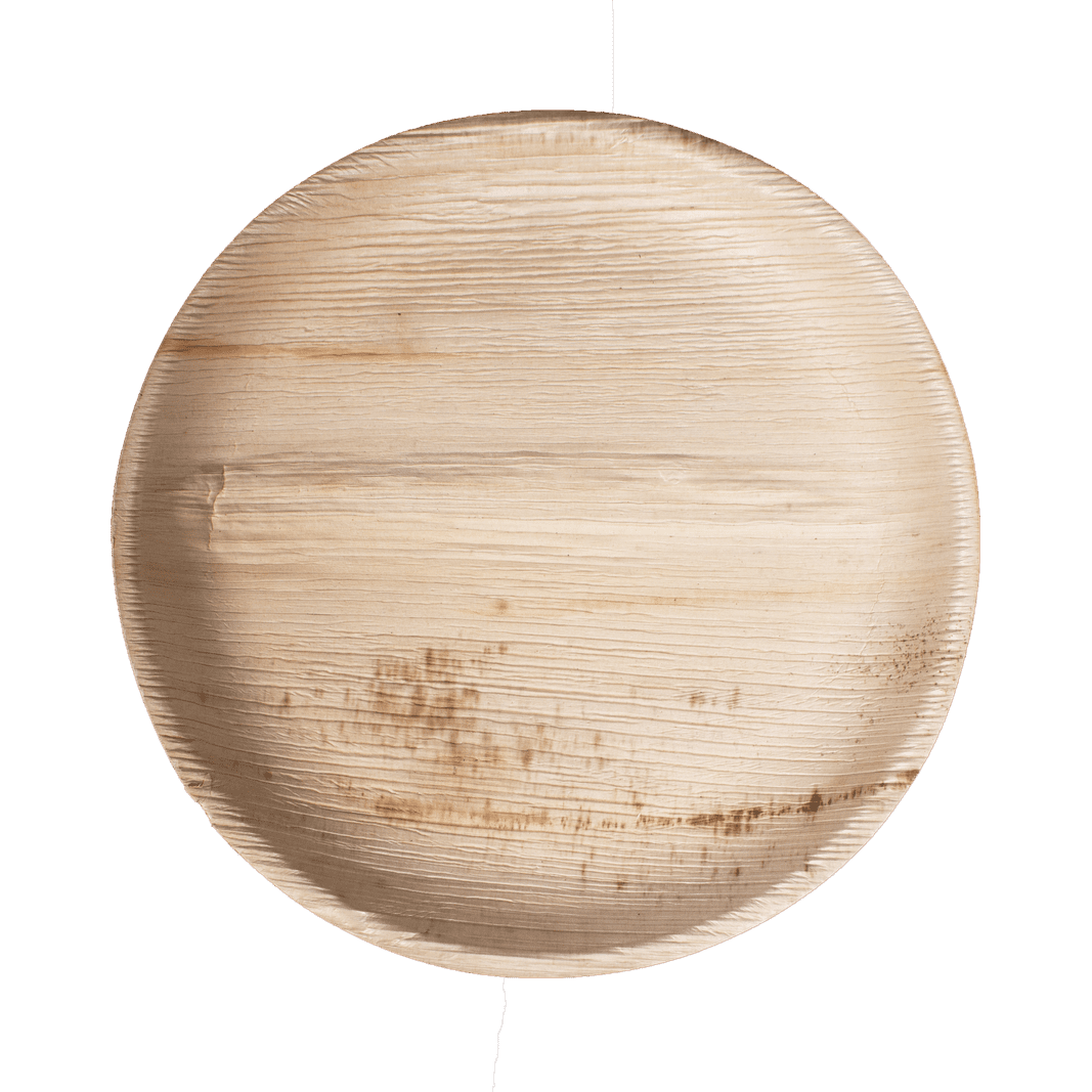 8" Round Palm Leaf Plate (25 count Retail Pack)-VerTerra Dinnerware