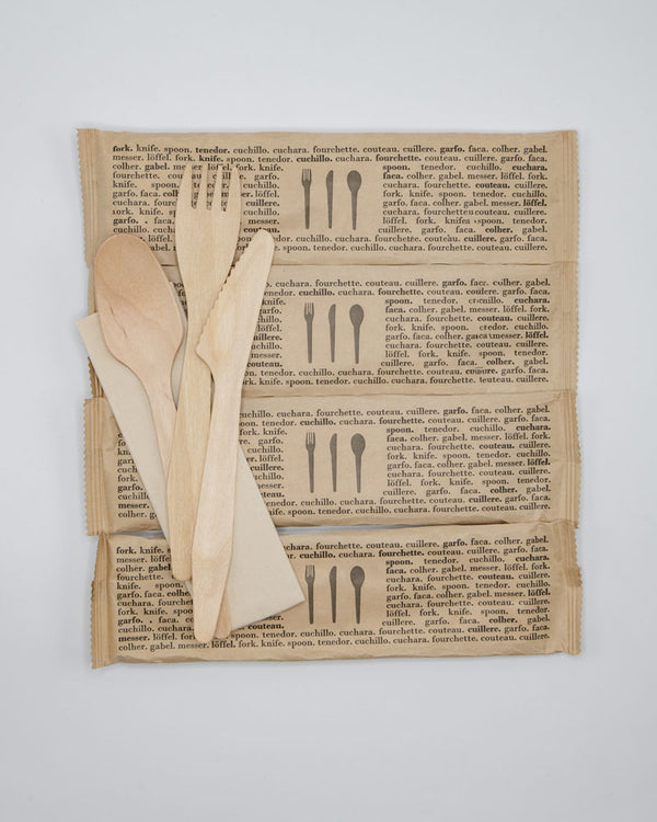 Disposable Wood and Bamboo Utensils image