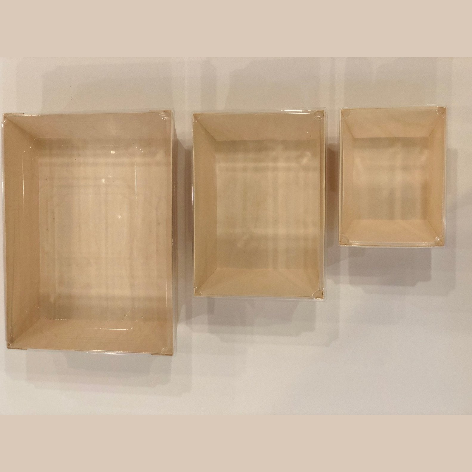 11.8"x15" Covered Tray (10 Count)-VerTerra Dinnerware
