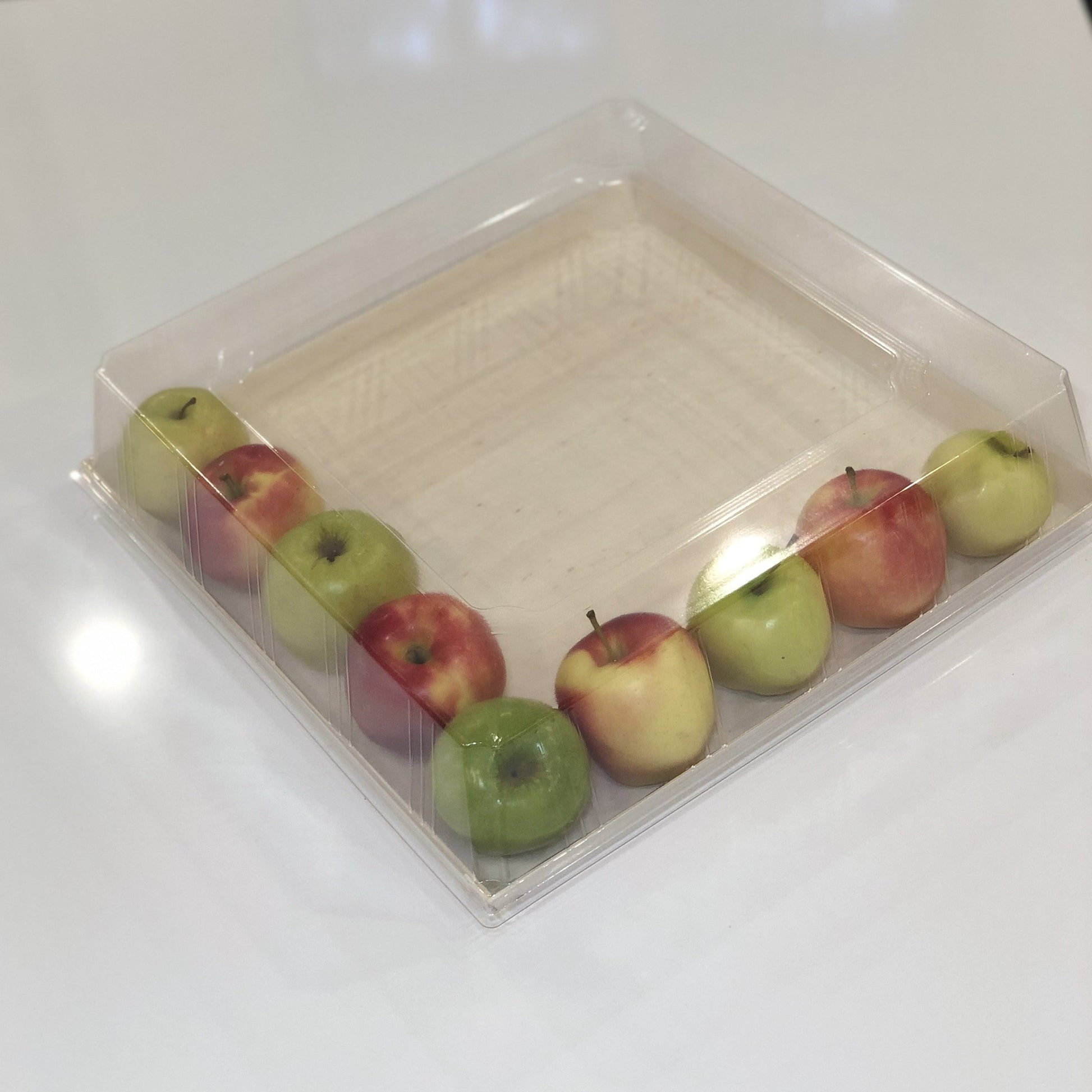 16" X 16" Covered Tray (10 Count)-VerTerra Dinnerware