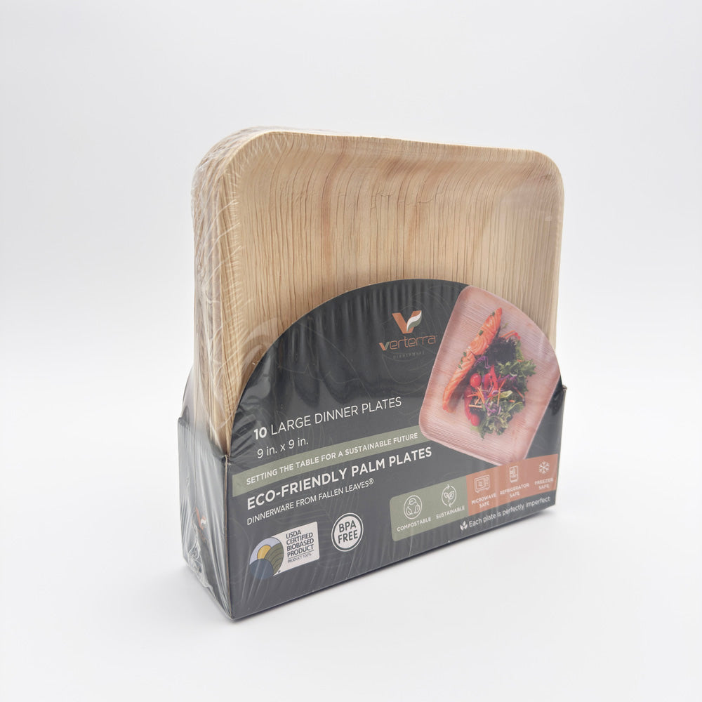 9"x9" Square Palm Plate (10 Packs of 10)