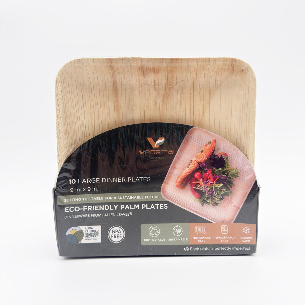 9"x9" Square Palm Plate (10 Packs of 10)