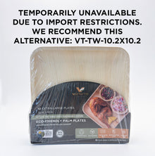 10"x10" Square Palm Plate (10 Packs of 10)