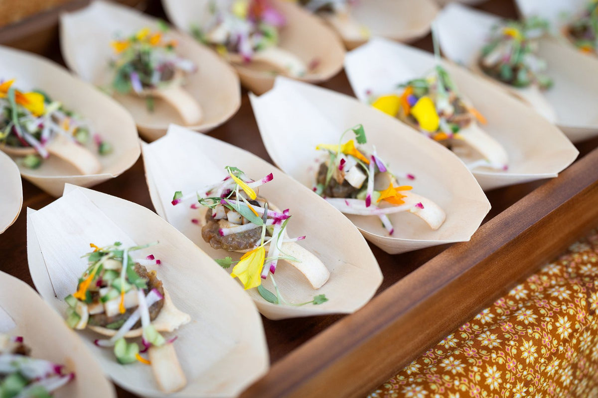 VerTerra catering ban cones